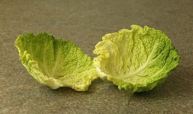 Treatment of varicose veins with cabbage leaves