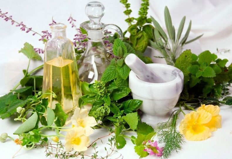 A variety of medicinal herbs for varicose veins compresses